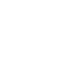 Flowers Clinic, home page